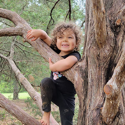 Tree Climbing