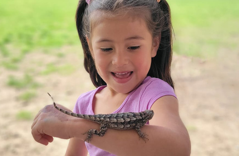 Horned Frog Exploration